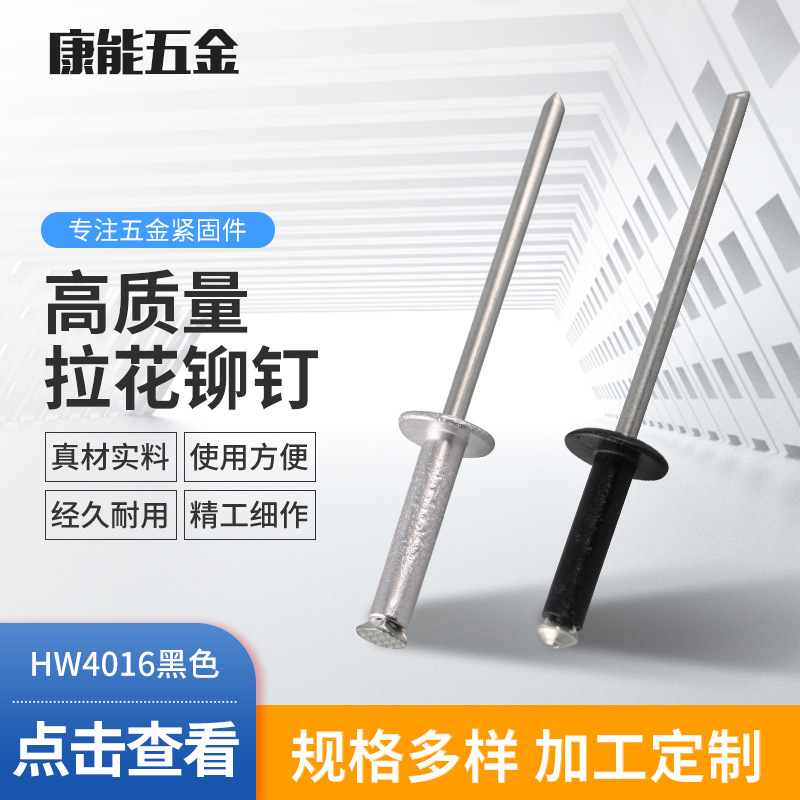 慈溪HW4*16   国标紧固件铝铁烤漆拉花型抽芯铆钉