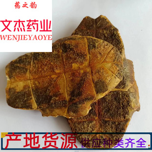 ��������ș�ĬF؛�����������匍���Ĕz���Ă�ș�I���������塿