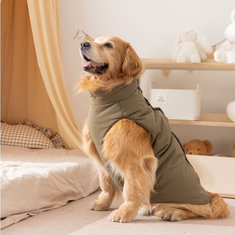 秋冬季大狗狗衣服简约布标大狗金毛棉衣冲锋马甲中大型犬宠物衣服|undefined