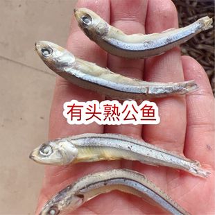 �����~�o�}������С�~���y�~��؛ �ؔ� ��� ���^�칫�~�� �~��