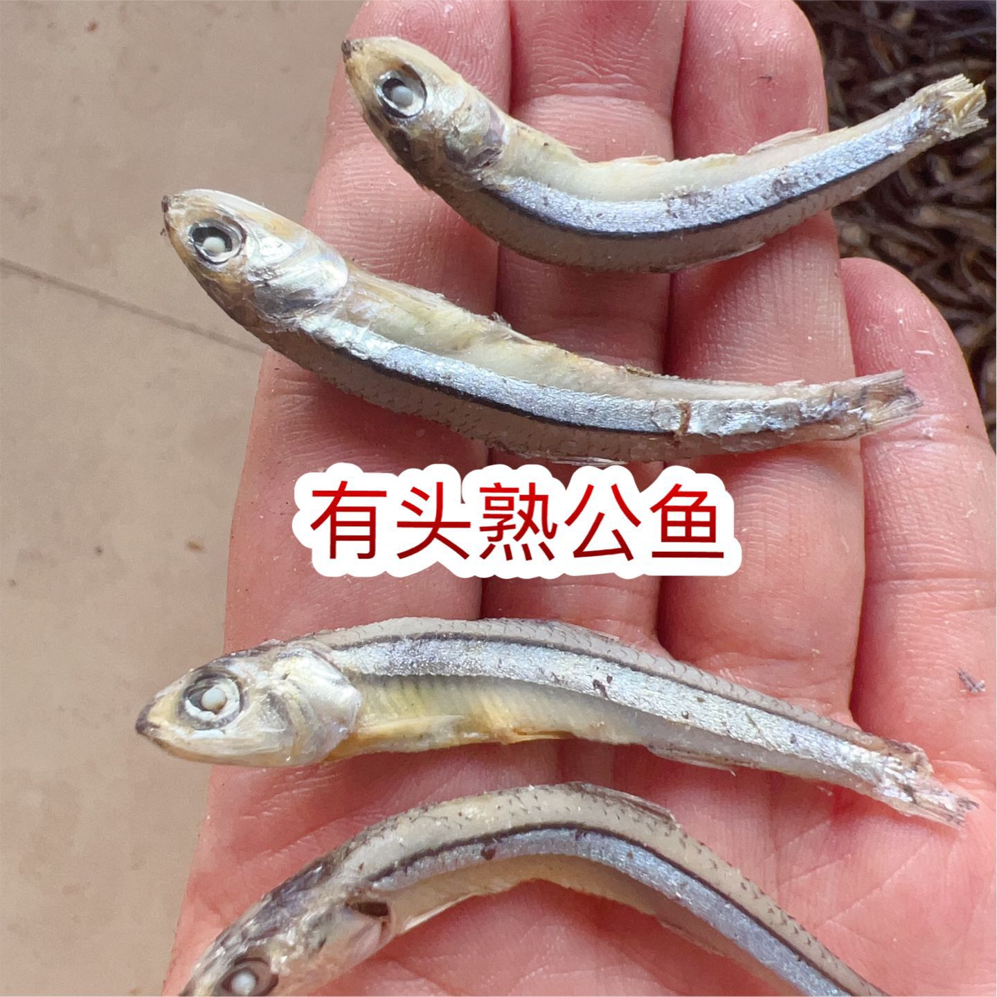 丁香鱼无盐淡晒海燕小鱼干银鱼干货 地摊 电商 有头熟公鱼干 鱼干