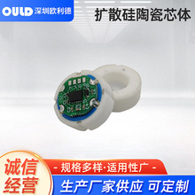 欧利德OULD扩散硅陶瓷压阻穿拿起芯体自主研发充油式芯体智能