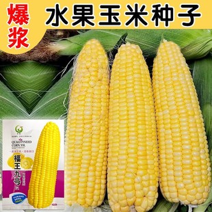 ����Ŵ���������׷N���ļ�����ˮ�����׷N�Ѹ߮a��Ŵ���׷N��