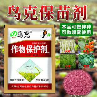 �B����B��������@���ﱣ�o����s�B�����Bș�ɰ�N���F���l