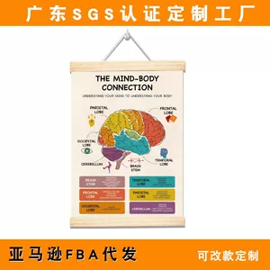 [亚马逊脑解剖学实木挂轴画 心理健康海报压力管理辅导办公室挂画]