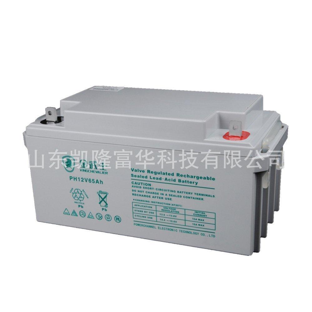 金武士12V6H阀控密封铅酸电池PW65-12光伏发电系统直流屏蓄电池