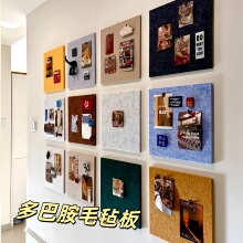 ��Ͱ�ë�ְ堝�N�ɐ�ܛľ����������Ƭչʾ���߼��L�Շ����b�