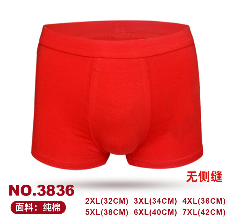 EZ102-3836 빨간색 속옷 단색