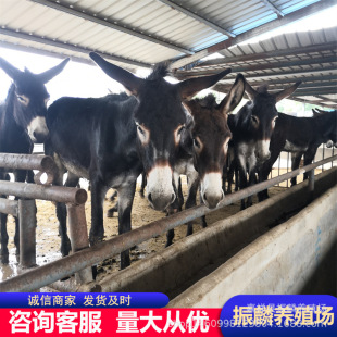 �������H�� ɽ�|���H�� �����H�r�� �����H�Bֳ�� ���L�ٶȿ�