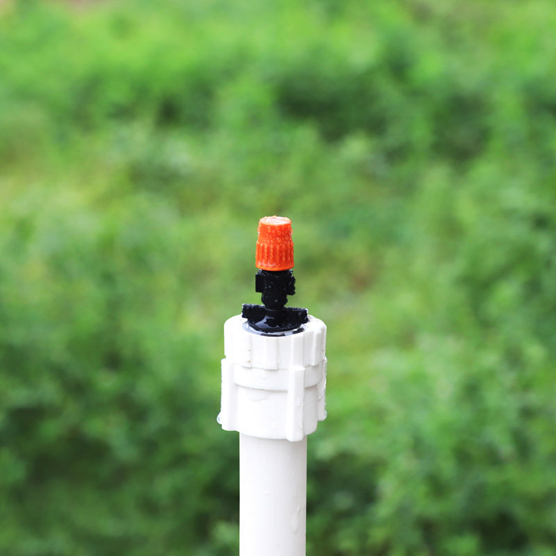 Jardín de la lluvia