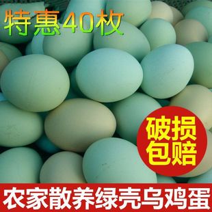 ��؛�����u���Y���u��ɢ�B���u�����r���lһ�����l�G�������ӵ�