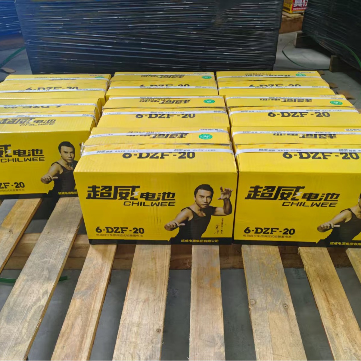 Batería 48V12A Tianneng Chaowei Batería de vehículo eléctrico Batería de plomo-ácido
