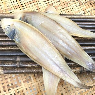 ȥƤ�����~��500g���~�����~̤���~ë���^�~�ɺ��r�خaˮ�a��؛