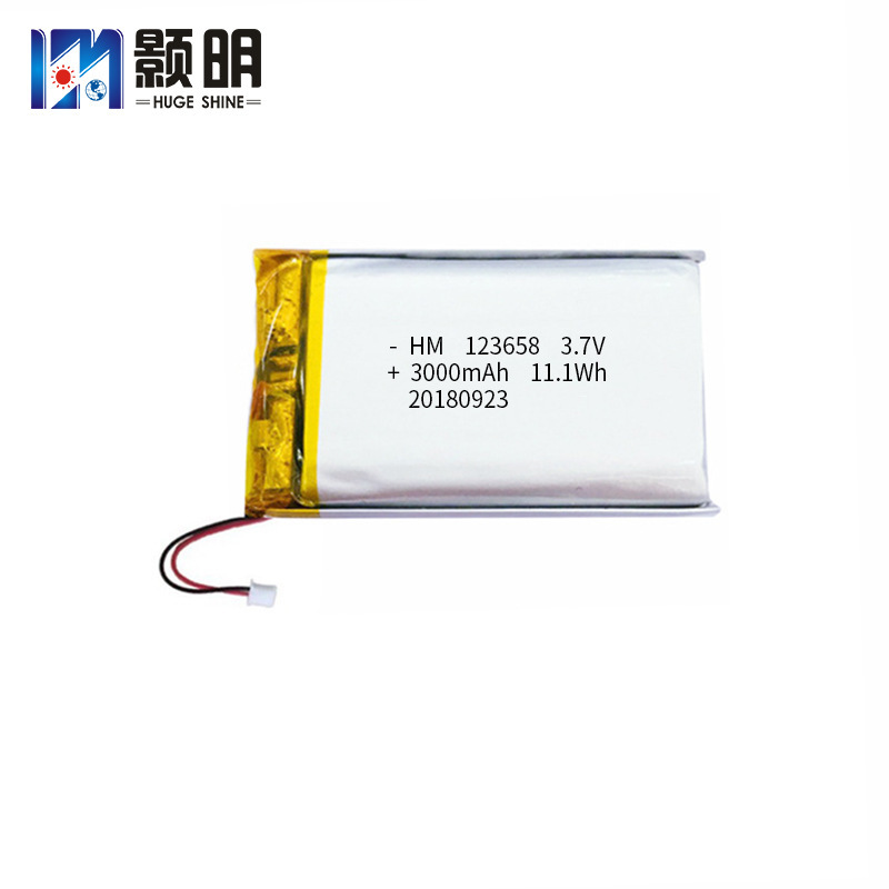 123655 polymer lithium battery 3.7V3000mAh beauty instrument outdoor LED light photoelectric measurement and control equipment battery