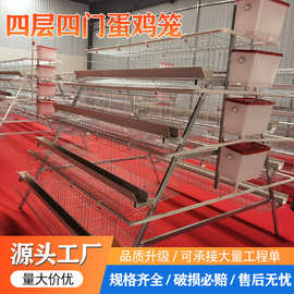阶梯式蛋鸡笼四层四门多层养鸡笼设备配件全自动蛋鸡大规模饲养笼