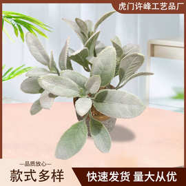 绿色叶子绿植装饰植绒羊耳叶 兔耳叶 植物墙花墙背景羊耳叶