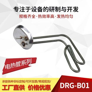 RULE電熱管DRG-B01現貨304不銹鋼液體加熱管發熱管水燒加熱管