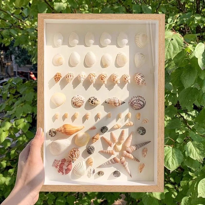 Seashell and Conch DIY Specimen Frame Handmade Gift Commemorative Picture Frame Hollow Square Simple Photo Frame Seashell and Conch DIY Specimen Frame Handmade Gift Commemorative Picture Frame Hollow Square Simple Photo Frame