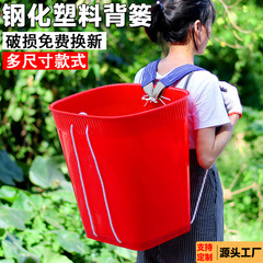 プラスチック製のかごを背負っている人は、竹をまねてかごを背負っている特大サイズのキノコを採集して、果物を買って農業用をしています。