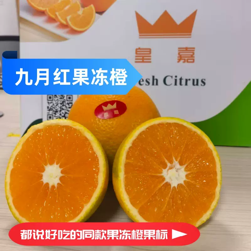 九月红果冻橙公司单位团建活动节日福利集采批发定制源头直供水果