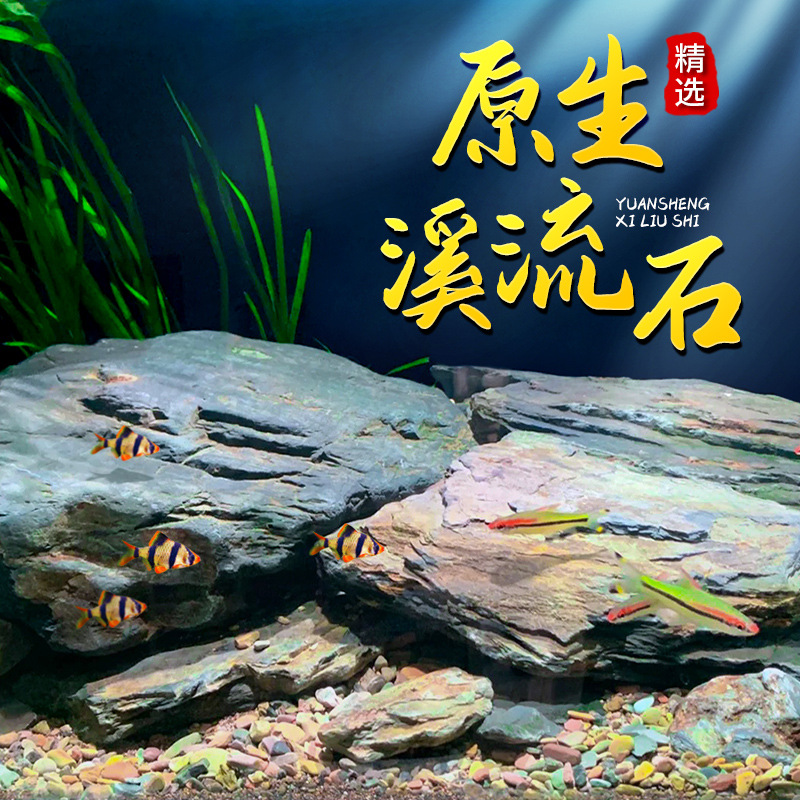 Au fond de l'aquarium, le sable et le gravier, le ruisseau naturel, le réservoir sud-américain, la tortue en pierre de paysage, évite la maison et la terrasse.