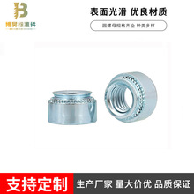 ���S��ֱ�N�����T��ĸ�k��îñS������ñ���X�A��̨�A�L�����T��