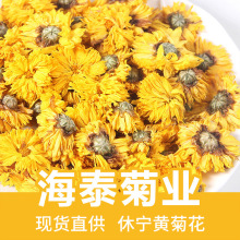 休宁黄菊花批发 散装黄菊花茶批发婺源皇菊原料批发 厂家直销