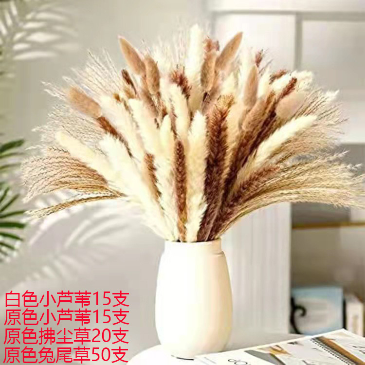 4adf6db9-8114-4c8a-9486-e82ea7d18f2b.jpe