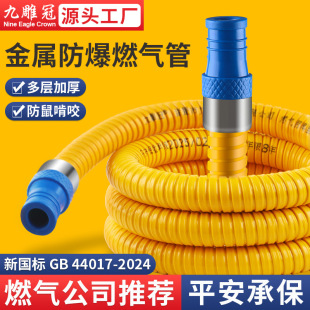 2025 New National Standard Thickened Armored Gas Pipe, Corrugated Pipe for Liquefied Gas Tank, Explosion-Proof Gas Stove Connecting Pipe