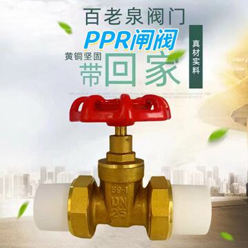 玉环PPR黄铜闸阀热熔快接式 自来水管道工程专用闸阀 4分 6分 1寸-阿里巴巴