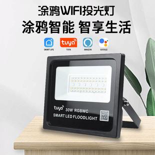 Zigbee Graffiti Smart Wifi 30W Floodlight Rgbwc Full Color with Remote Control Courtyard Waterproof Floodlight