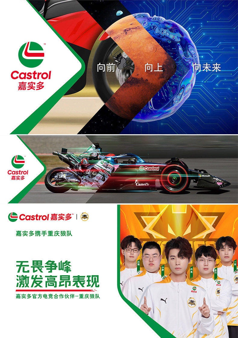 Castrol Automotive Fuel Additive for Carbon Removal PEA Fuel Additive Engine Catalytic Converter Cleaner 2-in-1