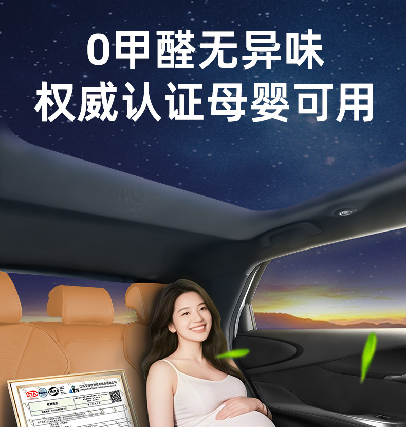 Geely Galaxy Pedal Star 8 Model-Specific Floor Mats, Dust-Proof Car Interior Accessories, Environmentally Friendly Double-Layer Anti-Slip