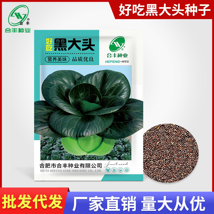 Black Big-Headed Green Vegetable Seeds 40g Large-Leaf Short-Legged Suzhou Green Seeds Black-Leaf Shiny Shanghai Green and White Vegetable Seeds
