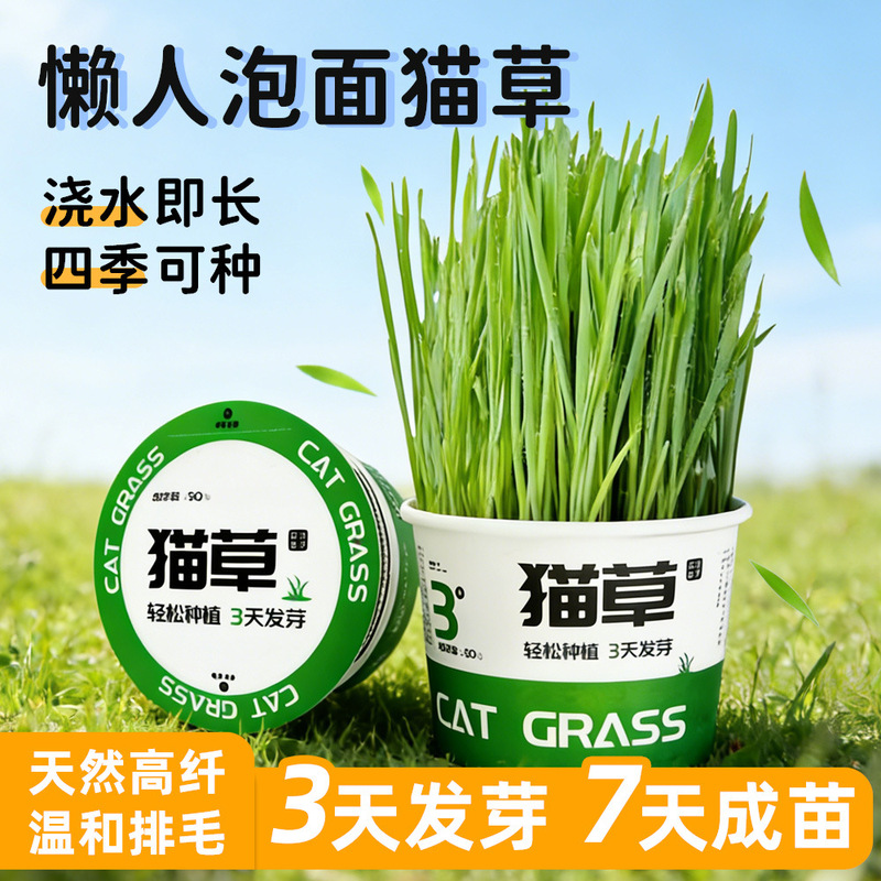 Lazy Person's Instant Cat Grass Hydroponic Cup Plant Seeds Natural Gentle Hairball Removal Cat Grass Pet Snack Lazy Person's Instant Cat Grass Hydroponic Cup Plant Seeds Natural Gentle Hairball Removal Cat Grass Pet Snack