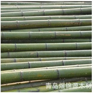Qingdao Yujinyuan sells bamboo poles for landscaping and flagpole bamboo for high-pressure protection at construction sites