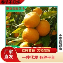 �S������o��ӿȪ������ �����������̨�ݟo�˼޽ӹ�����