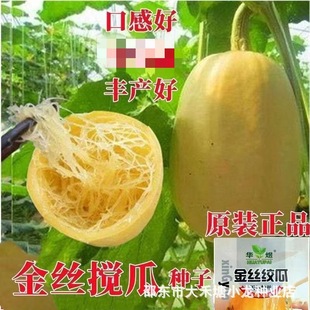 ԭ�b��z���ϷN�� �۽z�ϹϷN�� ��z�ϷN�� �ļ� �óԽz�ϷN��