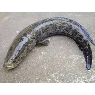 ʮ���ǧ�u��ԭ���B���~�r�����rʳ�����ˮ��ˮ������~��ˮ�~