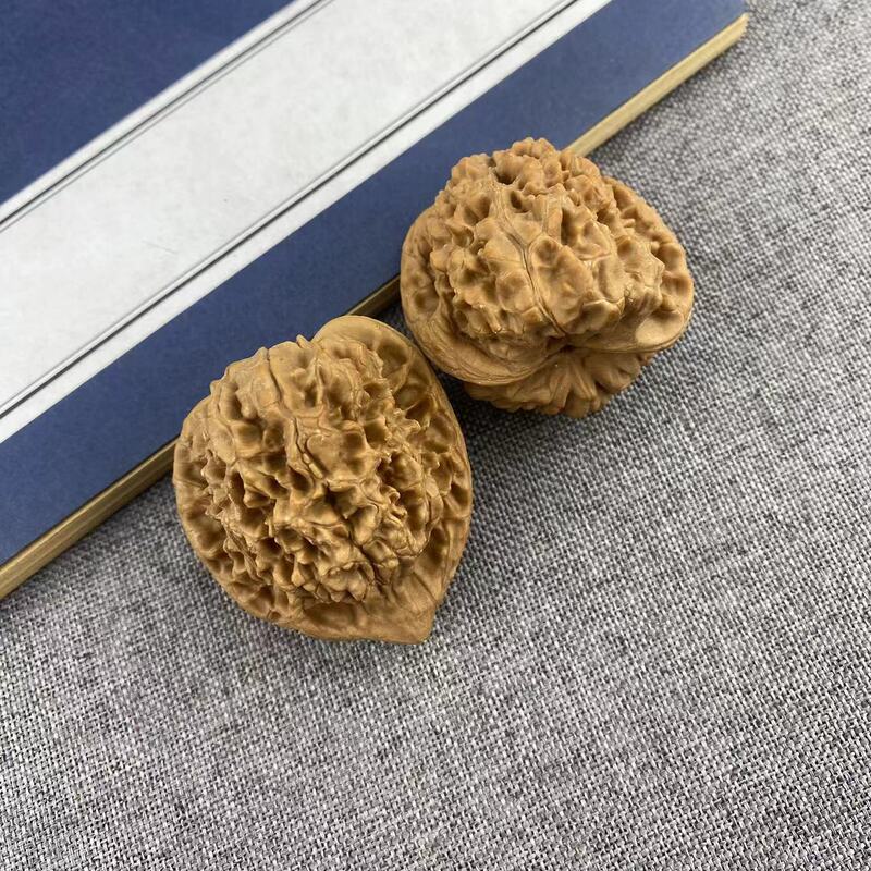 開背ヒキガエルの頭の文はクルミの低い杭を遊んで、先の古い木の延慶の金のヒキガエルの手は収集級の男女を遊んでクルミを遊びます。|undefined