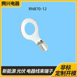 RNB70-12圆形裸端子 紫铜镀锡冷压接线端子 O型线耳铜鼻端子定制