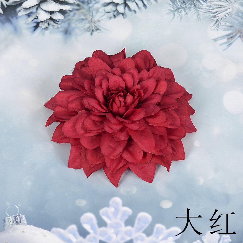 레드 SL 큰 epiphyllum 꽃 머리