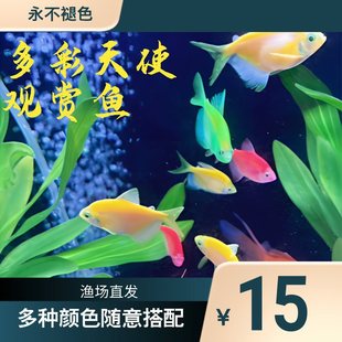 ��ʹ�~�^�p�~����Ȼ�~ȺС���~��ˮ�~���B�ͻ�ιʳ�W����������