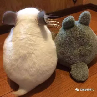 ���R�d�羳���Që�q��߻�؈����������жYƷ�Y������һ�����l