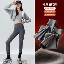 鲨鱼皮打底裤 女外穿紧身高腰收腹提臀健身瑜伽薄款芭比裤夏季