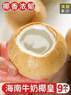 ���ں���ţ�̰�Ҭ��9���bҬ�����rҬ�ஔ��Ҭ���ЋDˮ��������]