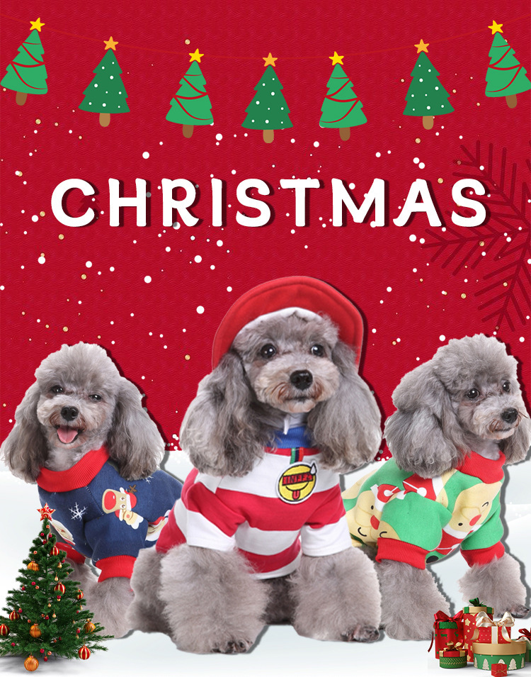 Pet Dog Pumpkin Knitted Sweater Costume Wizard Outfit Christmas Holiday Doggie Clothes Size Small Medium Large X-Large_voghion.com