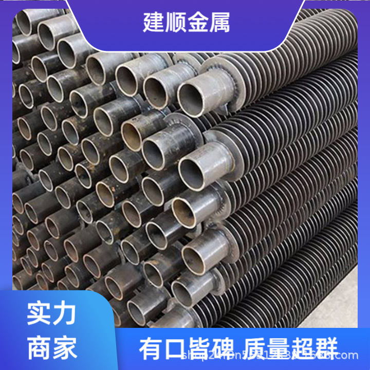 厂家批发热管式低温铸造3米省煤器翅片管38*5*2m20吨锅炉省煤器