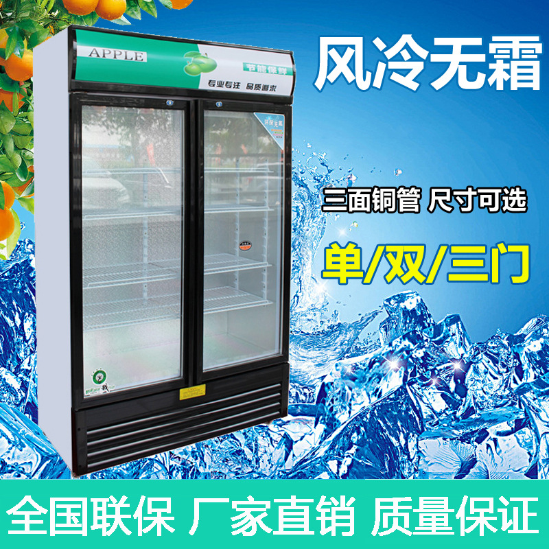 冷藏展示柜保鲜饮料柜商用超市冰箱小型啤酒柜立式双门冰柜