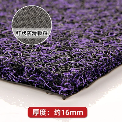 mat plastic carpet thickened, Avtomobil döşəmə paspasları - black-purple-16-4060cm